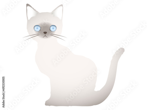 正面を向いて座っている青い目のシャム系の可愛い子猫のイラスト素材