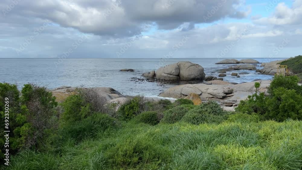 Rocky shoreline of Boulders beach with thick bushy grassy vegetation Rocky shoreline of Boulders beach with thick bushy grassy vegetation