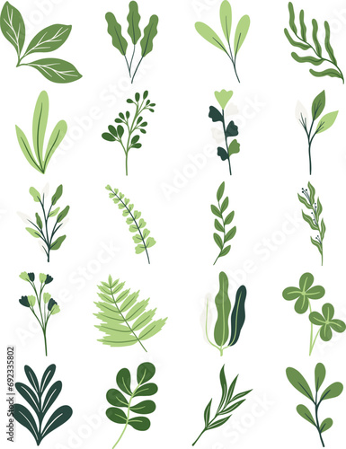 Green Botanical Leaves Illustration Set