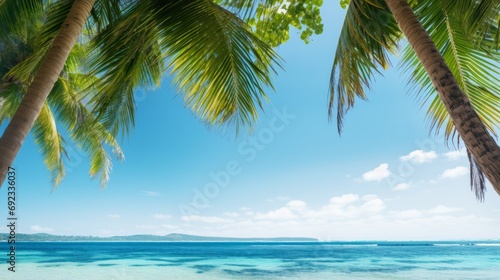 Lush tropical palm trees framing a postcard worthy ocean scene photo