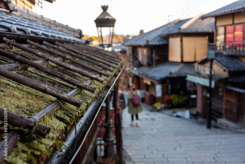 roof top tiles with vines on old Japan street