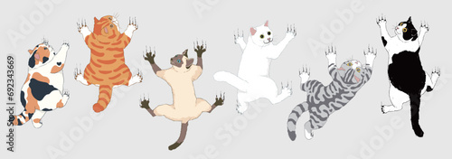 Set of Cute Cartoon Cats Climbing a Wall with Their Front Paws Extended - Calico, Orange, Siamese, White, Tuxedo, and Shorthair Silver Tabby Cats. Isolated Vector Illustration.