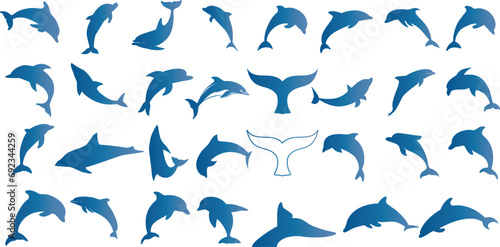Dolphin silhouette vector illustration, marine life theme. Blue dolphins on a white background, perfect for ocean-related designs.Represents aquatic mammals, sea creatures, and cetaceans photo