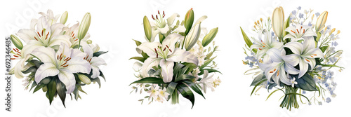 white lily transparent background.