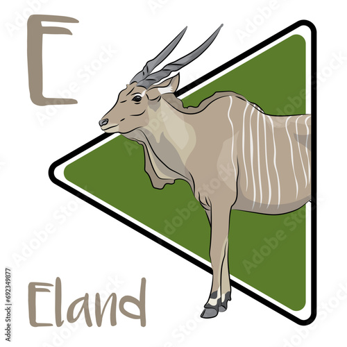 Eland is a large-sized savannah and plains antelope found in East and Southern Africa. Mainly a herbivore, its diet is primarily grasses and leaves. Elands are nomadic and crepuscular.