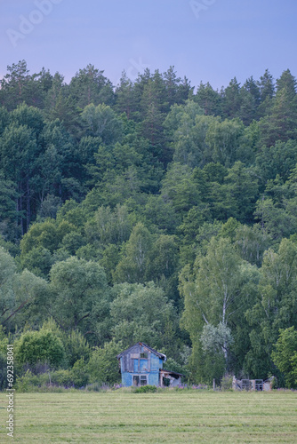 old collapsed wooden house against the background of the forest © Denis Kadatsky