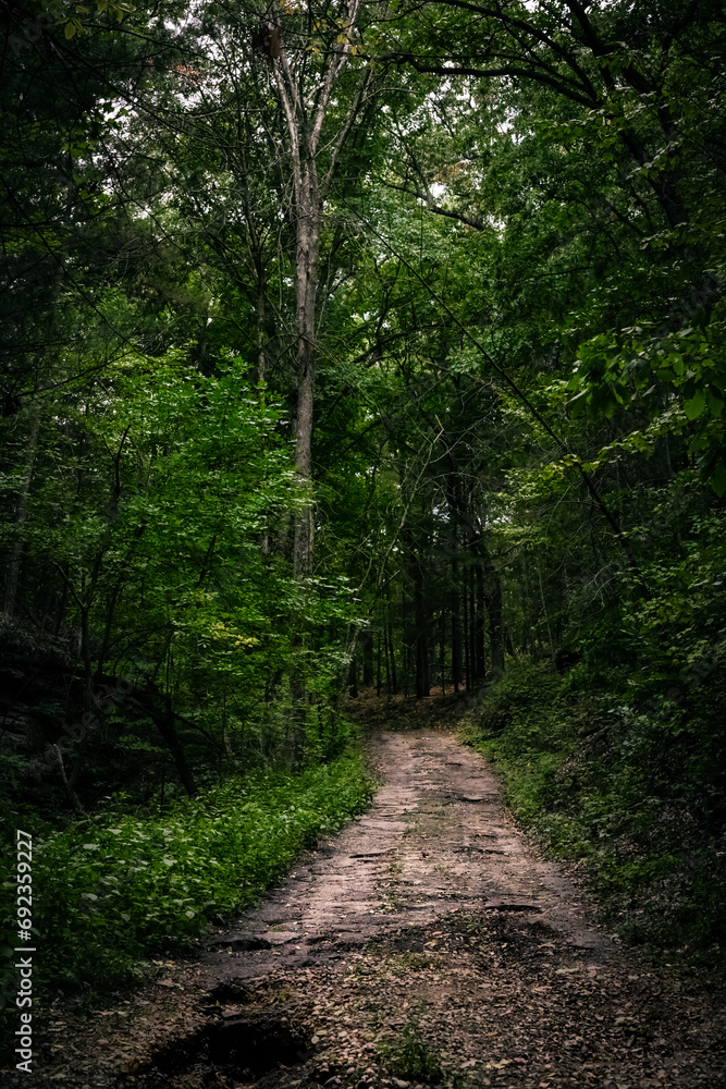A Mystical Path to the Unknown Adventure in Wisconsin
