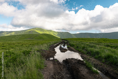 Wallpaper Mural The road to the top of the mountain Torontodigital.ca