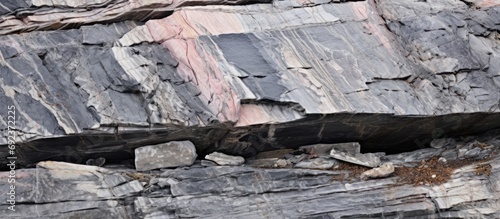 Ancient metamorphic rocks of North America, with white and pink intrusions penetrating gray gneiss in the Canadian Shield. photo