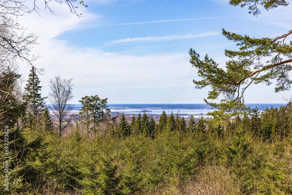 Landscape view from a spruce forest on a sunny spring day