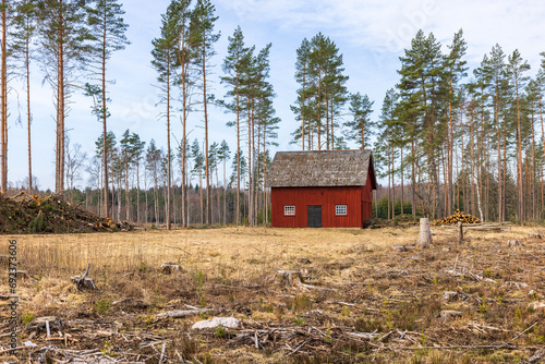 Old red house by a forestry photo