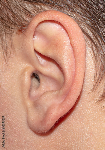 Close-up of a man's ear. Macro