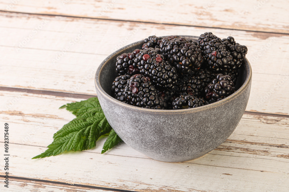 Natural organic blackberry in the bowl Natural organic blackberry in the bowl