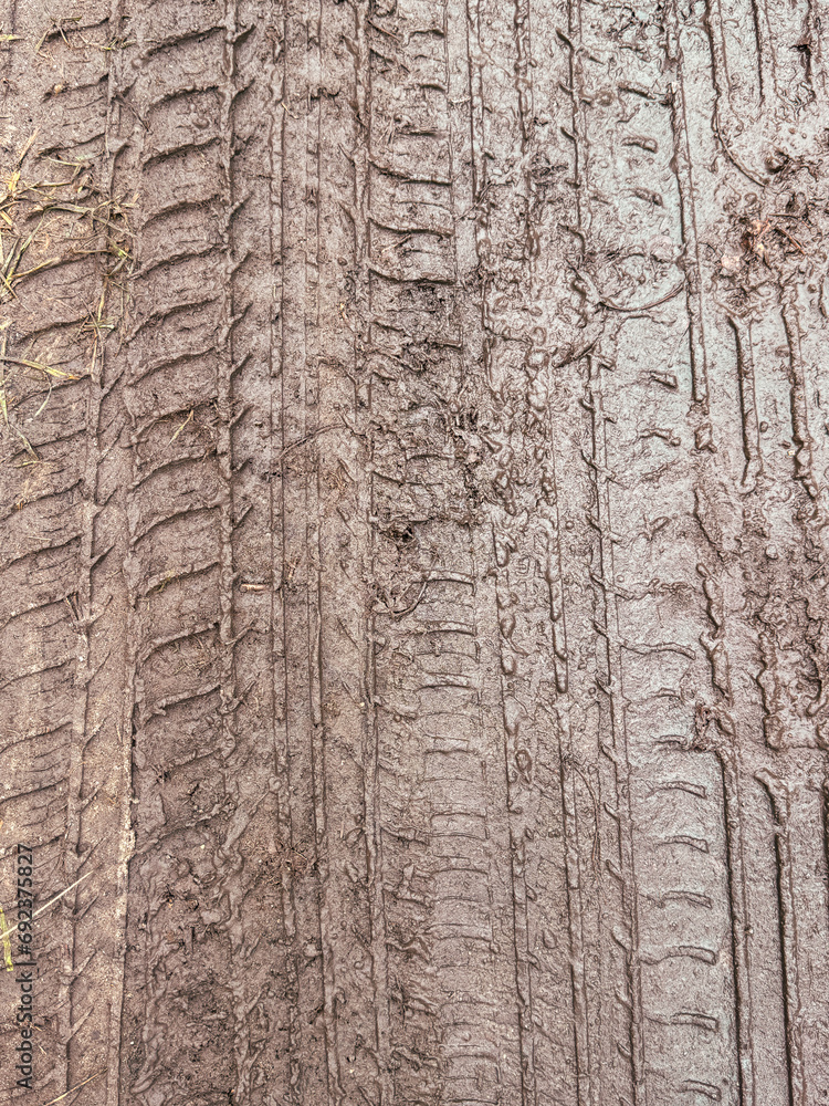 Obraz premium A wheel mark in the dirt. Background