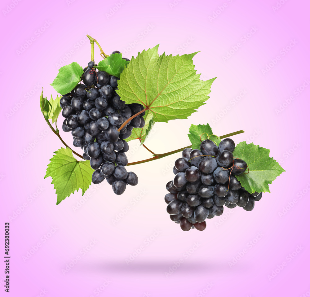 Delicious fresh grapes and green leaves falling on violet background Delicious fresh grapes and green leaves falling on violet background