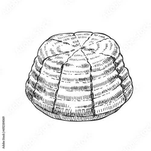 Hand drawn vector cheese illustration. Ricotta milk cheese image. Dairy design template