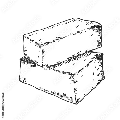Hand drawn vector cheese illustration. Feta milk cheese image. Dairy design template