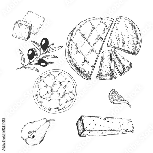Hand drawn vector cheese illustration. Brie, feta, camembert set milk cheese image. Dairy design template