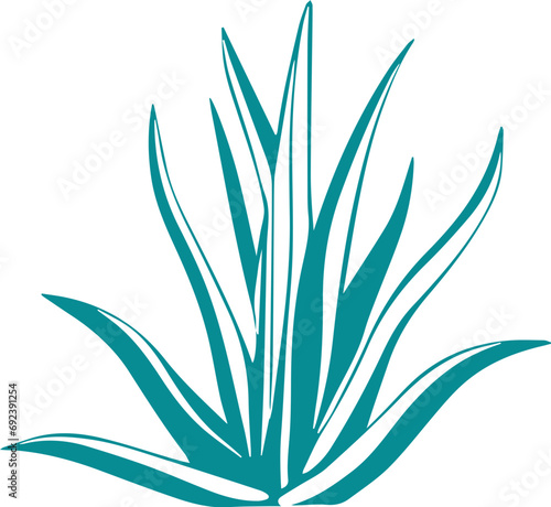 Agave outline svg drawing