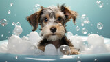 Puppy, bath and bubbly bliss for adorable cleanliness and joyful pampering. Wet fur, playful bubbles and gentle care. This scene is perfect for pet grooming services, care blogs and heartwarming visu