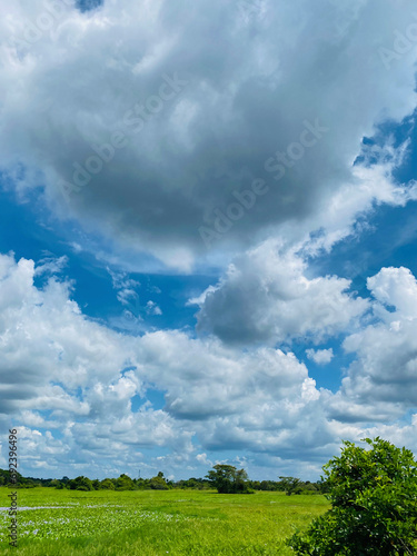 Cotton-Candy Sky: Natural landscape of rural Beauty under White Clouds