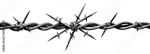 Barbed wire on white background photo