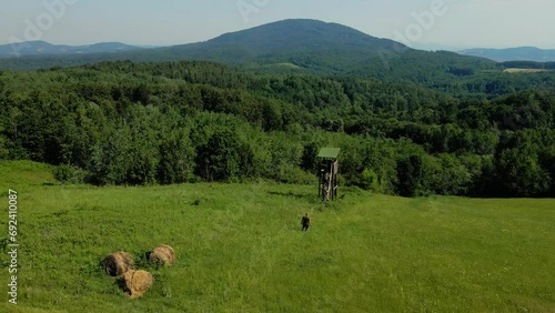 A footage of three hunters climbing into tree stand on a meadow with woods and mountain behind them
