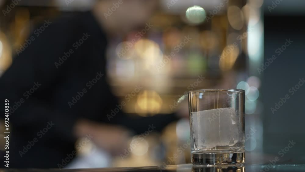 Bartender and customer at night club. Bartender and customer at night club.