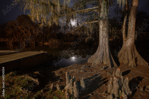 A scenic night view of cypress trees at Lorrain Park in the Lacassine Bayou, Louisiana. 