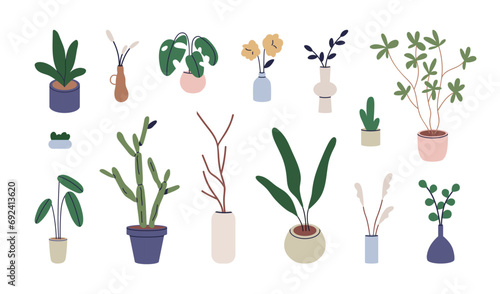 Potted plants set. Houseplant in planter, flower in vase. Green leaves, flora...