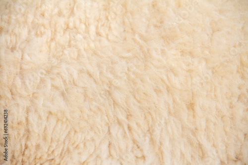 White sheep wool background, Background pattern of soft warm material photo