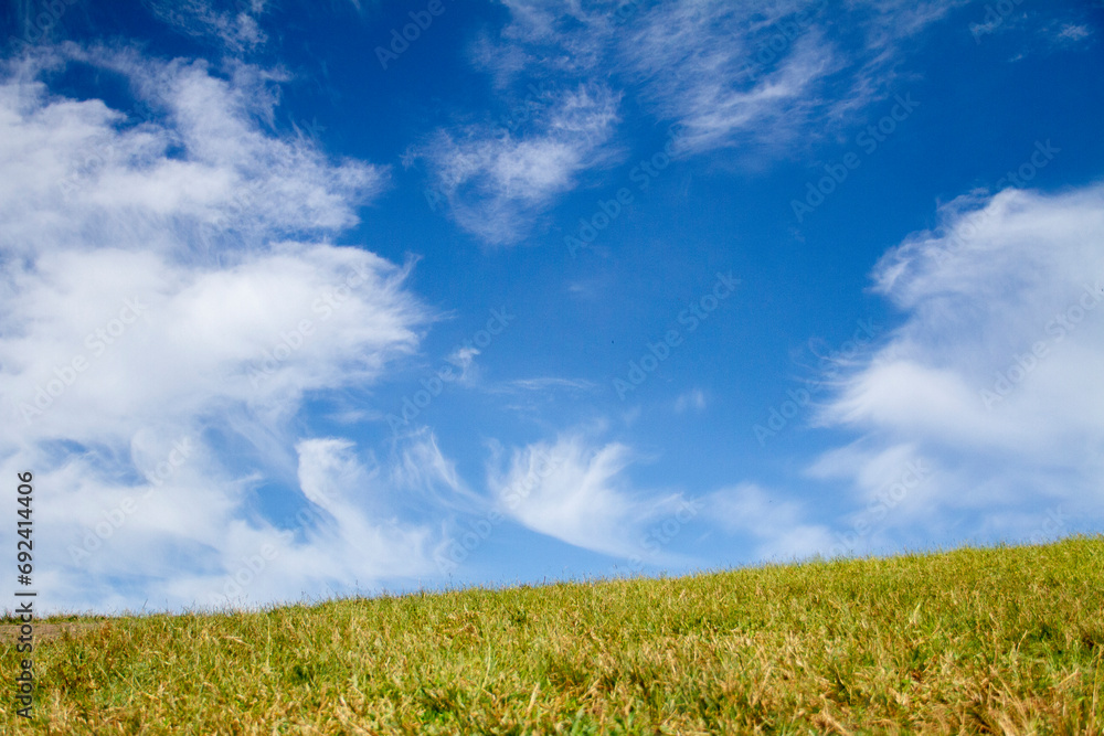 Beautiful green meadow blue sky and white clouds background