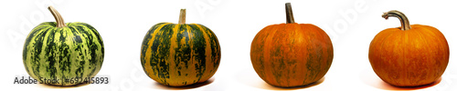 Discoloration of pumpkin fruits in the process of ripening on a white background, side view
