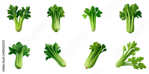 Vector illustration of multiple celery