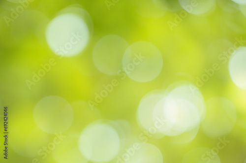 green bokeh abstract background, green background