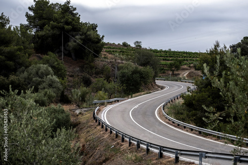 Country road between the vineyards of the Priorat designation of origin area in the province of Tarragona in Catalonia in Spain photo