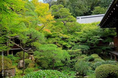 Garden at Eikan-dō Temple, a major Buddhist temple with ancient art and Zen garden in Kyoto, Japan photo