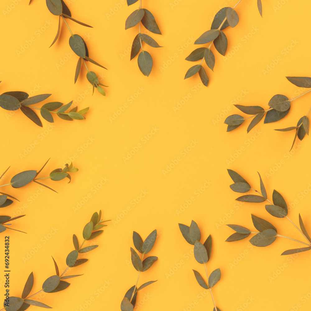 Wreath made of eucalyptus branches on a yellow background. Creative natural concept. Wreath made of eucalyptus branches on a yellow background. Creative natural concept.