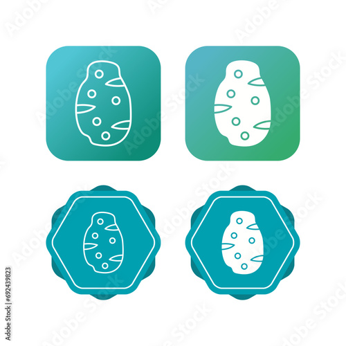 Potato Vector Icon
