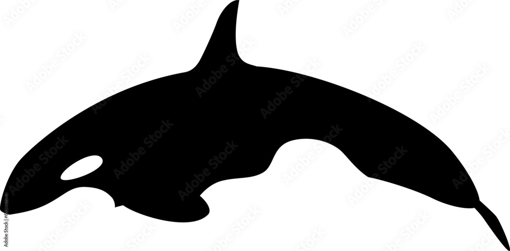 Obraz premium Orca Wal