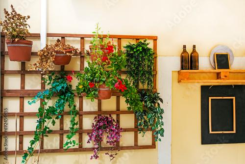 yellow wall with a composition of living indoor plants near the cafe. landscape decorative design