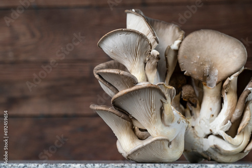 Fresh hanger mushrooms on the table. Wild mushrooms. Alternative protein. Beautiful background with mushrooms, free space. copy space photo