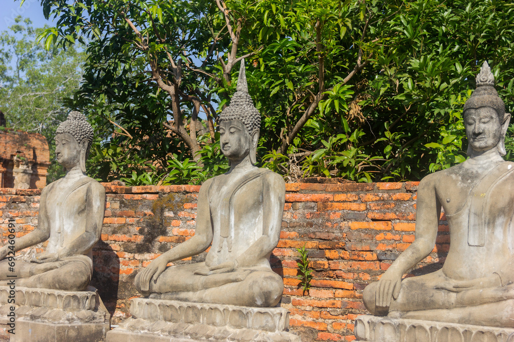 Obraz premium Buddha statues in Ayutthaya, an ancient city, Buddha statues in a temple in Ayutthaya, Thailand