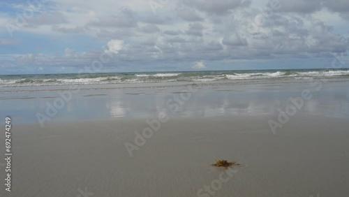 The waves of the turquoise ocean roll towards the shore, foaming and spreading. The blue sky and clouds are reflected on the wet, shiny sand. A small bunch of algae in the foreground. Malaysia.Borneo 
