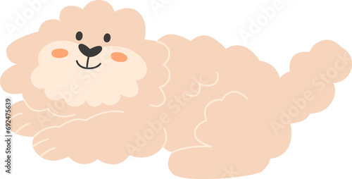 Fluffy Dog Lying