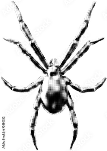 Spider in halftone dots texture, isolated black and white vector design element