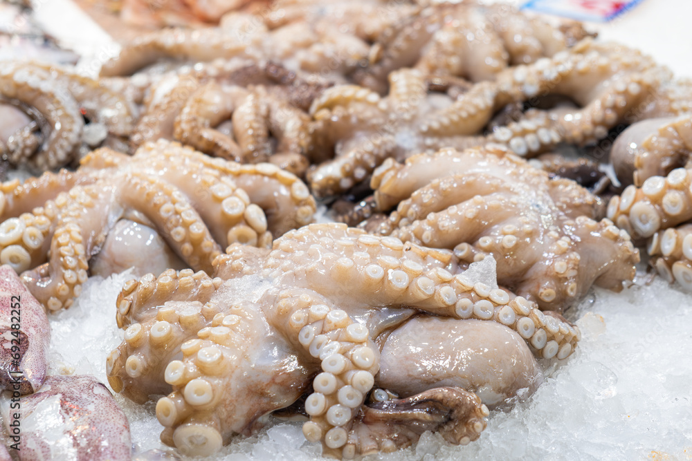 Fresh octopuses lying on ice counter at seafood market in Athens, Greece. Open shelf with shellfish at fish market. Close up