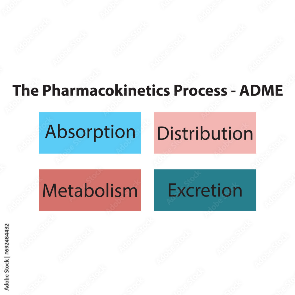 Diagram showing pharmacokinetic parameters - ADME - Absorption, Distribution, Metabolism and excretion. Diagram showing pharmacokinetic parameters - ADME - Absorption, Distribution, Metabolism and excretion.