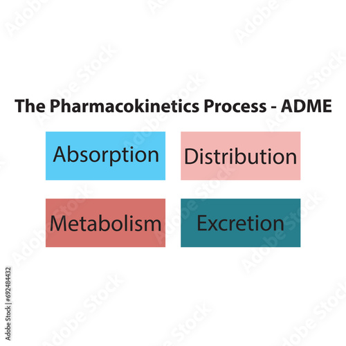 Diagram showing pharmacokinetic parameters - ADME - Absorption, Distribution, Metabolism and excretion.