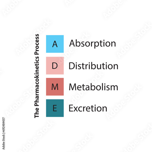 Diagram showing pharmacokinetic parameters - ADME - Absorption, Distribution, Metabolism and excretion.